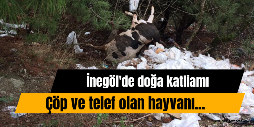 ÇEVRE KATİLLERİ BOŞ DURMUYOR