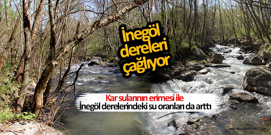 DERELERİMİZ ÇAĞLAMAYA BAŞLADI