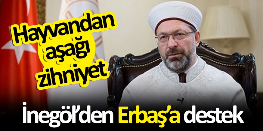 HAYVANDAN AŞAĞI ZiHNiYET