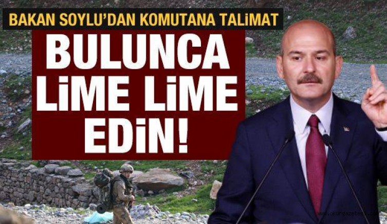 İçişleri Bakanı Soylu’dan bölge komutanına PKK talimatı: Bulunca lime lime edin!
