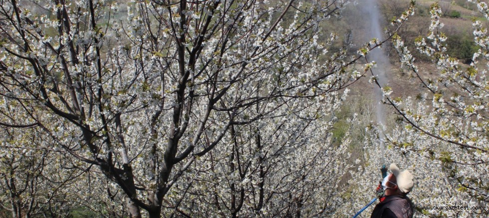 İNEGÖL’DE ÇİFTÇİLER NE YAPIYOR?