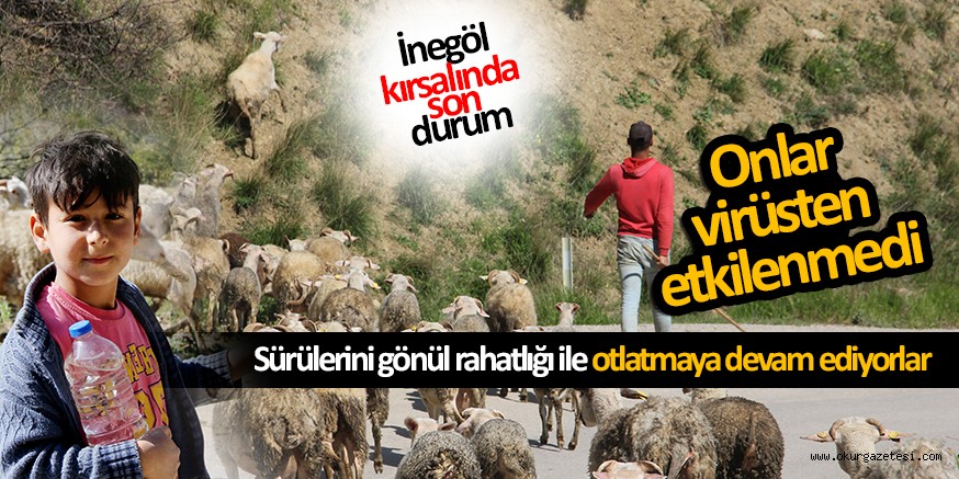 İnegöl’de virüsten hiç etkilenmeyenler; Çobanlar