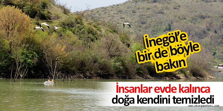 İNSANLAR EVDE KALINCA DOĞAN KENDİNİ TEMİZLİYOR