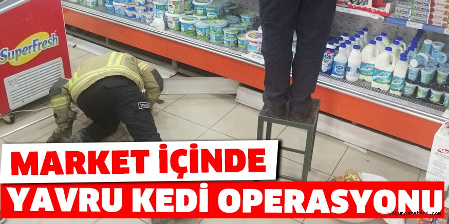 MARKET İÇİNDE YAVRU KEDİ OPERASYONU