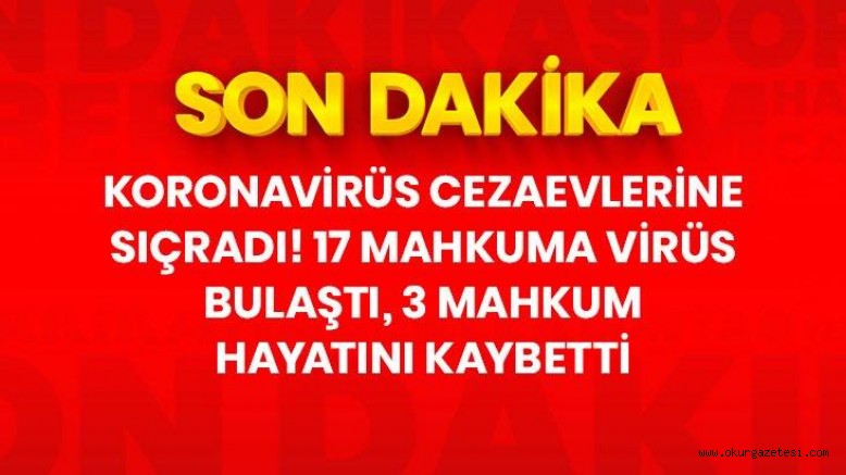 Son dakika: 5 açık cezaevinde 17 hükümlüye koronavirüs teşhisi konuldu, 3 mahkum hayatını kaybetti