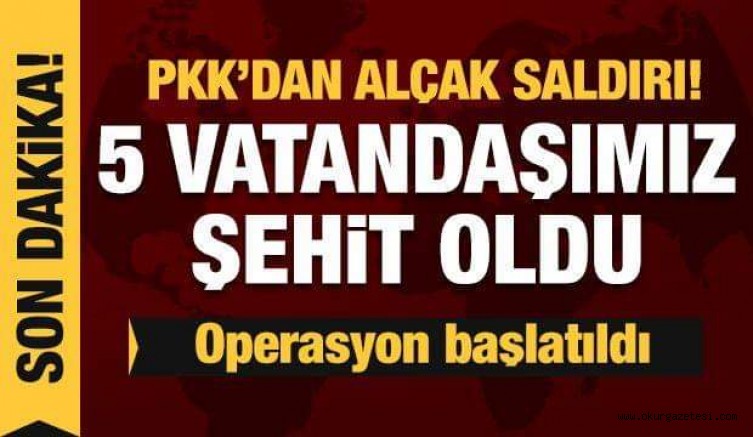 Son dakika haberi: Diyarbakır’da PKK köylülere saldırdı! 5 vatandaşımız şehit oldu