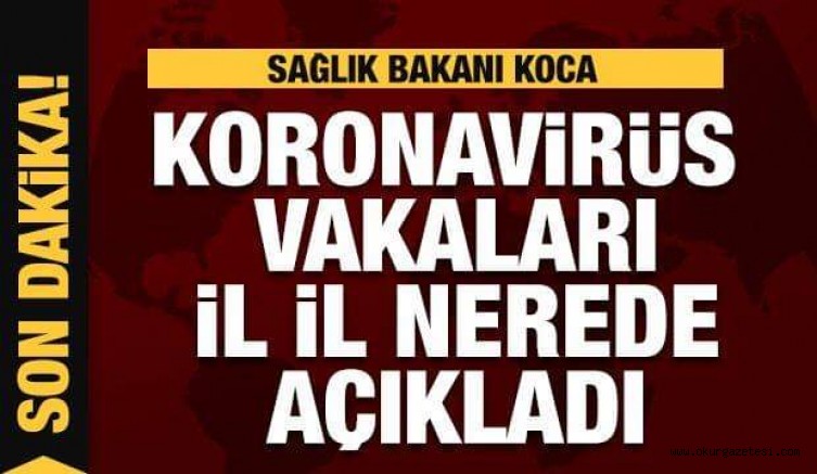 Son dakika: Koronavirüs vakaları hangi illerde Bakan Koca açıkladı