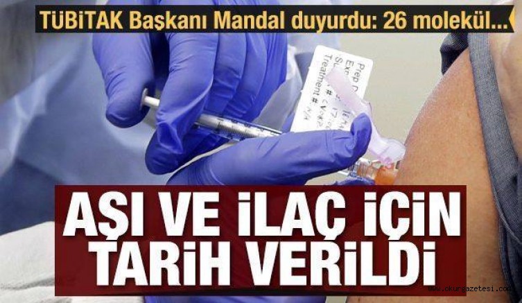 TÜBİTAK Başkanı Mandal, Covid-19 aşısı ve ilacı için tarih verdi