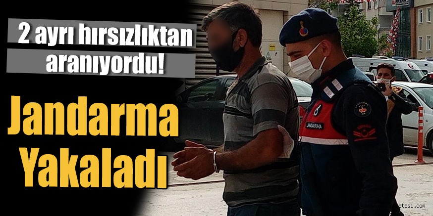 2 ayrı hırsızlıktan aranıyordu!  Jandarma Yakaladı