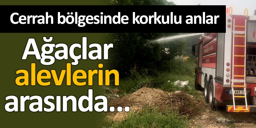 AĞAÇLIK ALANA SIÇRAMADAN YANGIN SÖNDÜRÜLDÜ