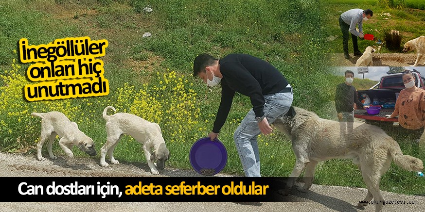 CAN DOSTLARINI BESLEDİLER