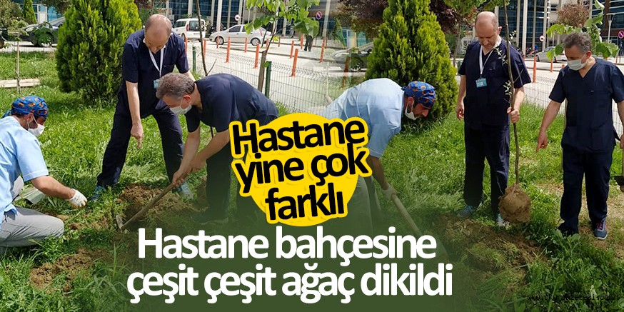 Hastane bahçesine çeşit çeşit ağaç dikildi