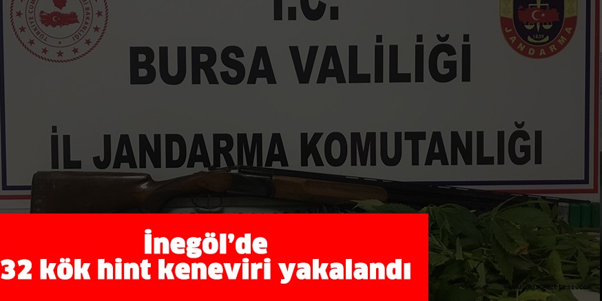 İnegöl’de 32 kök hint keneviri yakalandı