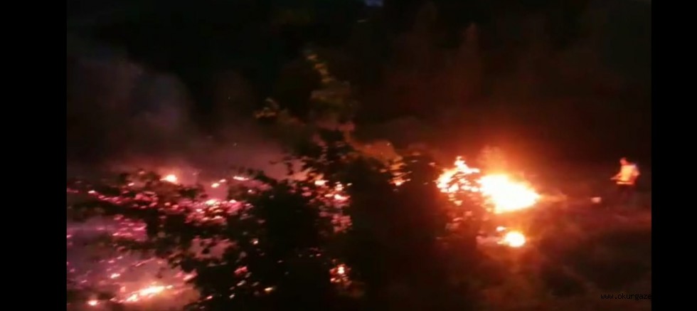 İnegöl’de  orman yangını