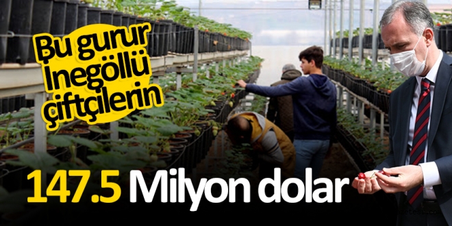 iNEGöL TARIMININ TüRKiYE EKOMONİSİNE KATKISI;  147.5 MİLYON DOLAR