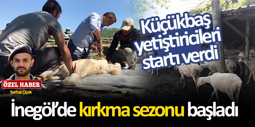 KÜÇÜKBAŞ HAYVANLAR YAZA HAZIRLANIYOR