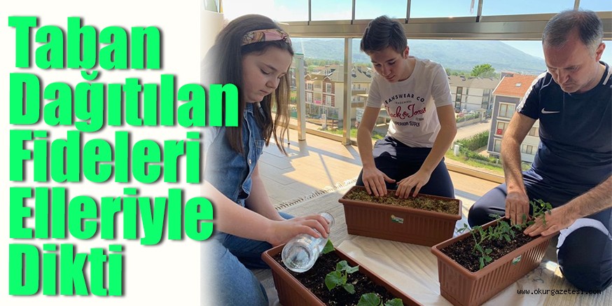 Taban Dağıtılan Fideleri Elleriyle Dikti