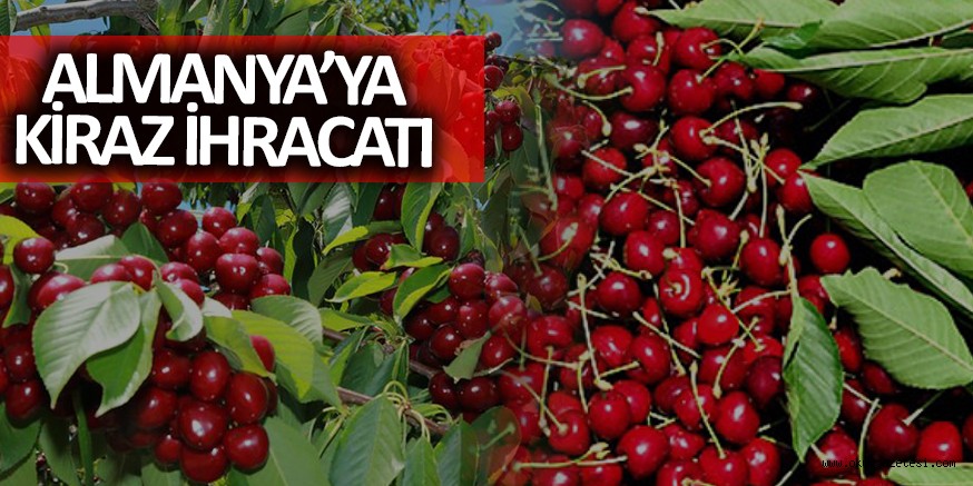 VİRÜS’E RAĞMEN  ALMANYA’YA KİRAZ İHRACATI