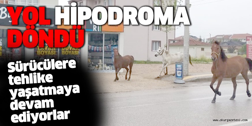 YOL HİPODROMA DÖNDÜ
