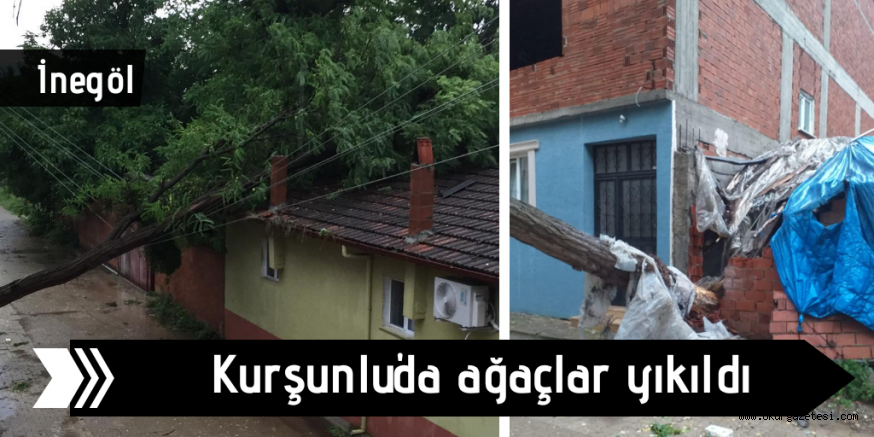 AĞAÇLAR YIKILDI