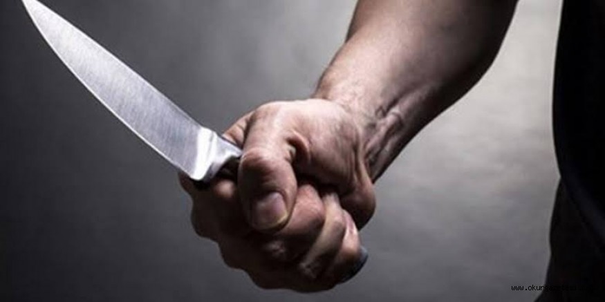 Alanyurtta kavgada kan aktı