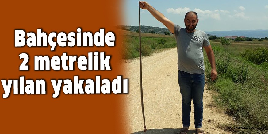 Bahçesinde 2 metrelik yılan yakaladı
