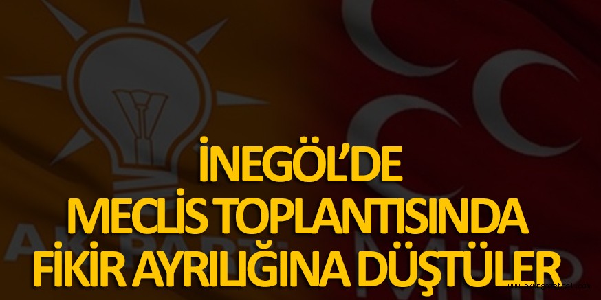 FİKİR AYRILIĞINA DÜŞTÜLER