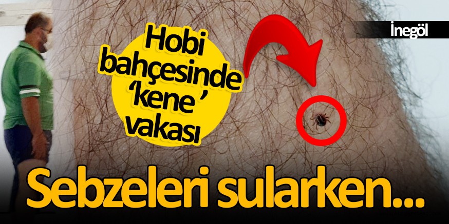 Hobi bahçesinde ‘kene’ vakası