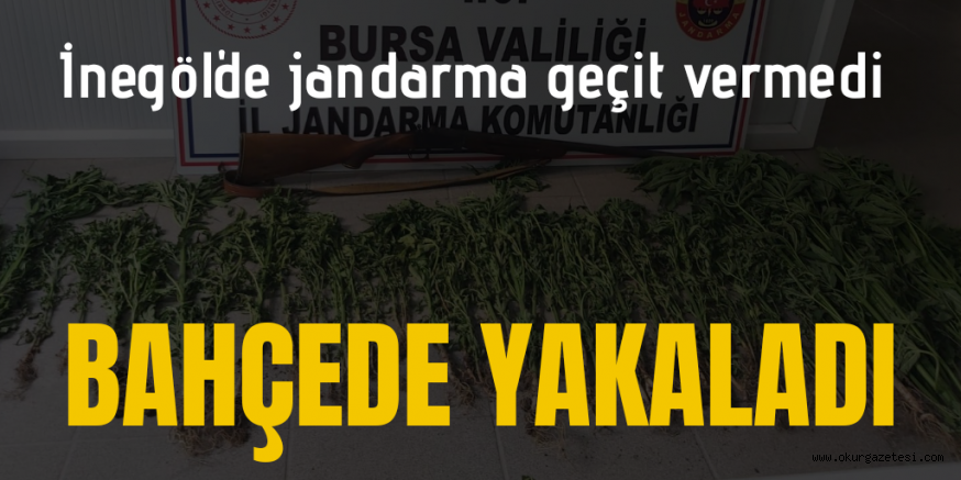 İnegöl’de uyuşturucu operasyonu