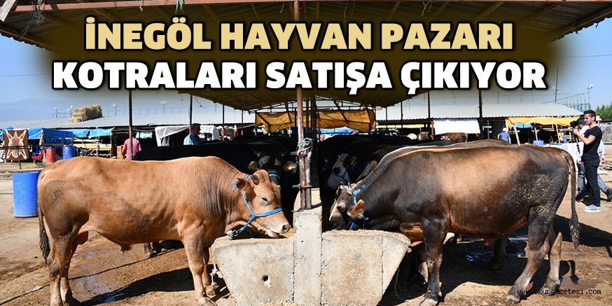 İNEGÖL HAYVAN PAZARI KOTRALARI SATIŞA ÇIKIYOR