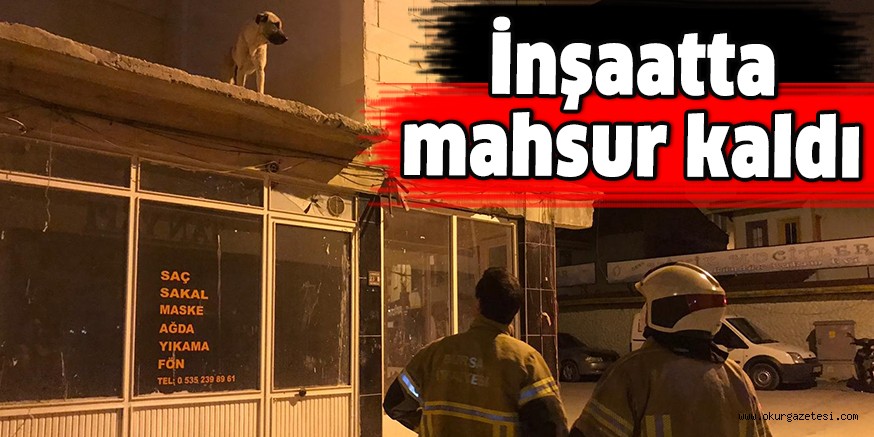 İnşaatta mahsur kaldı