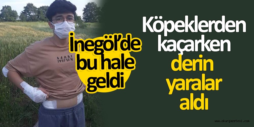 Köpeklerden kaçan genç, derin yaralar aldı
