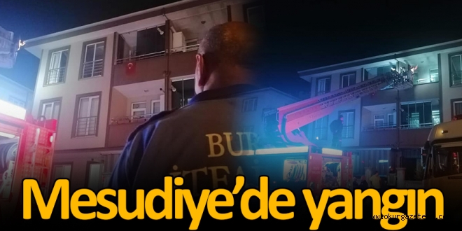 Mesudiye de korkutan yangın