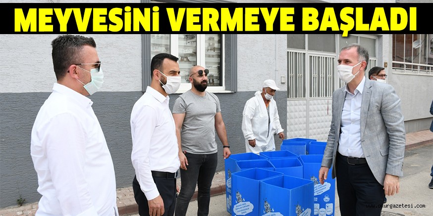 MEYVESİNİ VERMEYE BAŞLADI