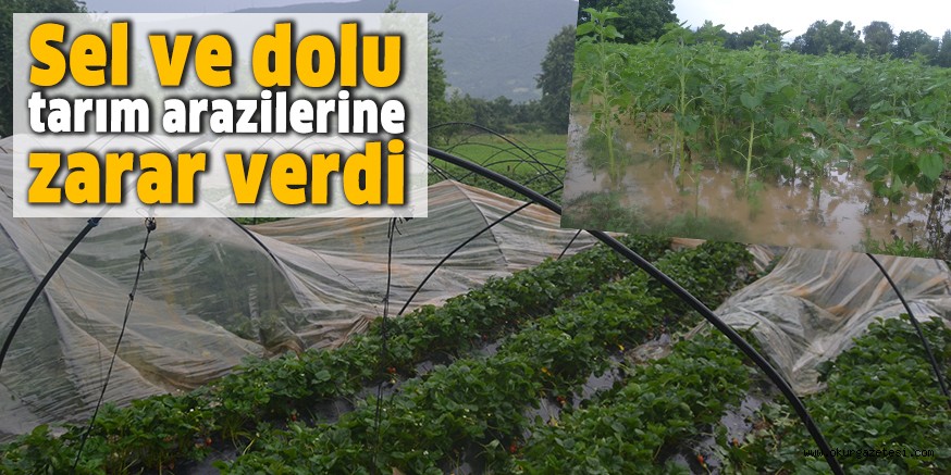 Sel ve dolu tarım arazilerine zarar verdi