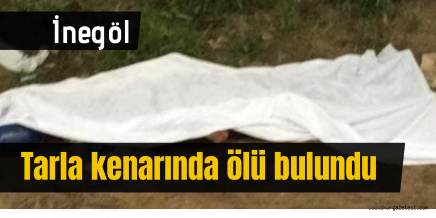 Tarla kenarında ölü bulundu