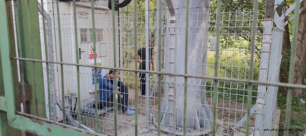 Trafoya kedini astı