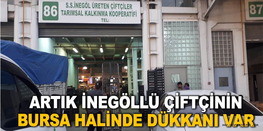 ARTIK İNEGÖLLÜ ÇİFTÇİNİN BURSA HALİNDE DÜKKANI VAR