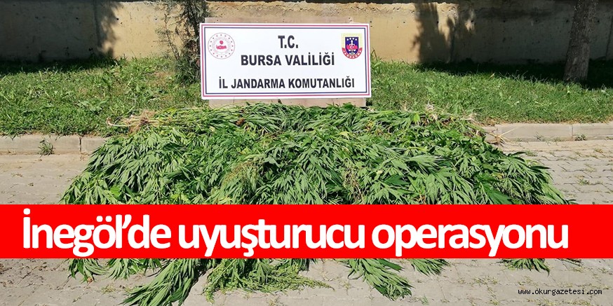 Babaoğul Mahallesi’nde uyuşturucu operasyonu