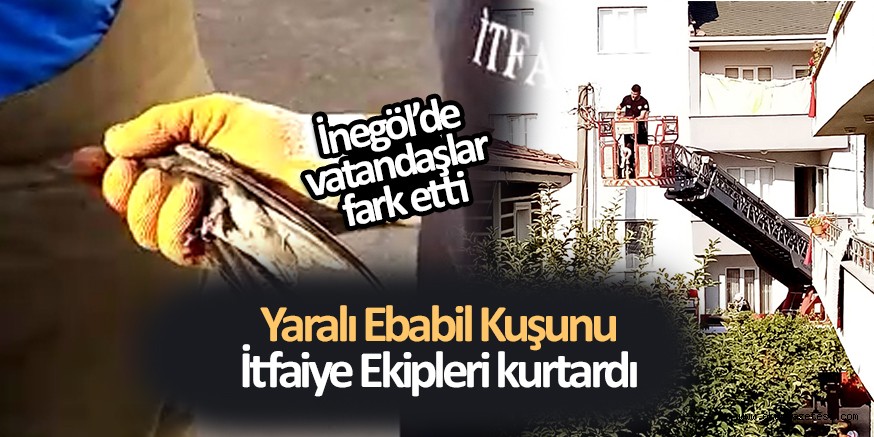 ÇATIYA SIKIŞAN EBABİL KUŞUNU İTFAİYE EKİPLERİ KURTARDI