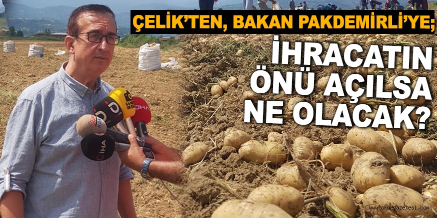 ÇELİK’TEN, BAKAN PAKDEMİRLİ’YE; İHRACATIN ÖNÜ AÇILSA NE OLACAK?