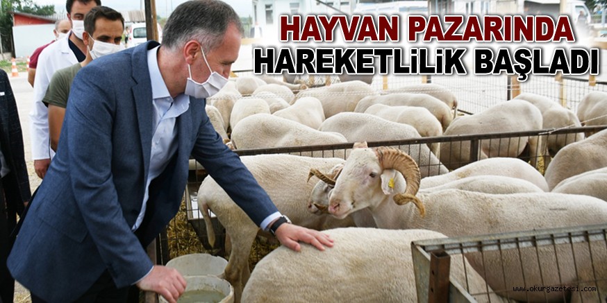 HAYVAN PAZARINDA HAREKETLİLİK BAŞLADI