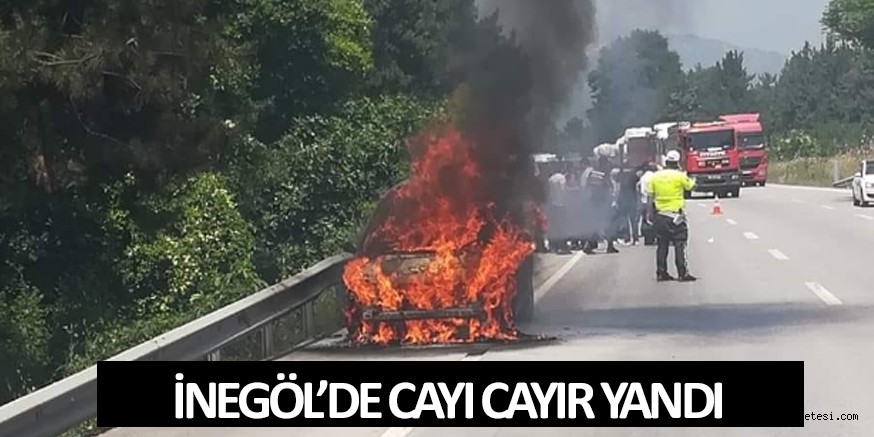 İNEGÖL’DE CAYIR CAYIR YANDI
