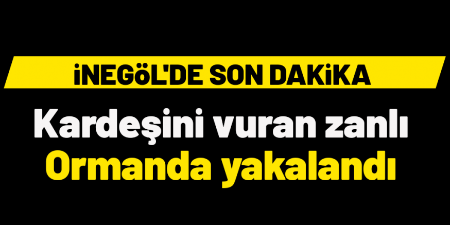 Kardeşini öldüren zanlı yakalandı