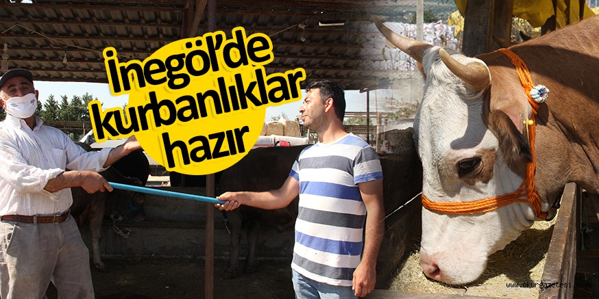 Kurbanlıklar görücüye çıktı