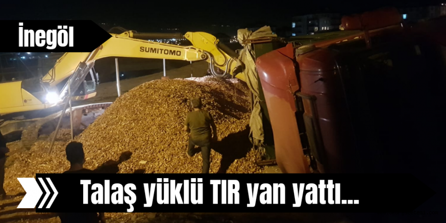 Talaş yüklü TIR yan yattı