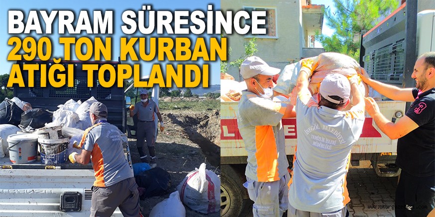 BAYRAM SÜRESİNCE 290 TON KURBAN ATIĞI TOPLANDI