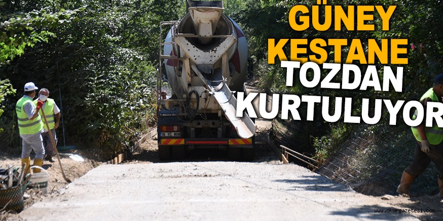 GÜNEY KESTANE MAHALLESİ BETON YOL İLE TOZDAN KURTULUYOR