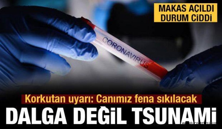 Korkutan uyarı: Dalga değil tsunami!