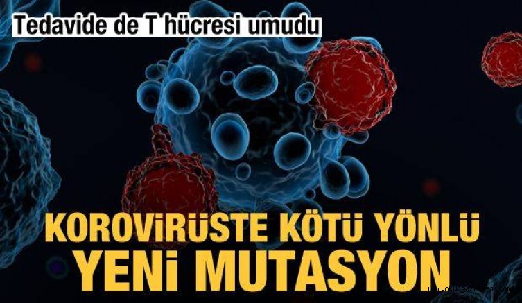 Koronavirüste kötü yönlü yeni mutasyon! Tedavide de ‘T hücresi’ umudu